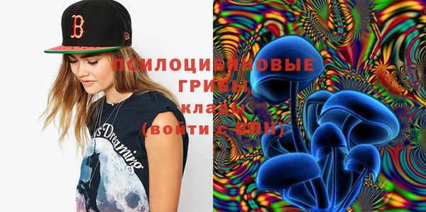прущие крисы Вяземский