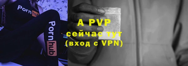 прущие крисы Вяземский