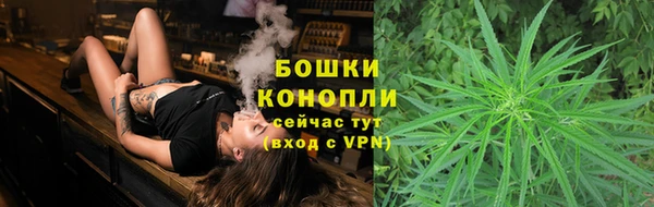 PSILOCYBIN Горно-Алтайск